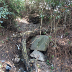 The rocks in the woods where she hit her head and was sexually assaulted. Click to enlarge.